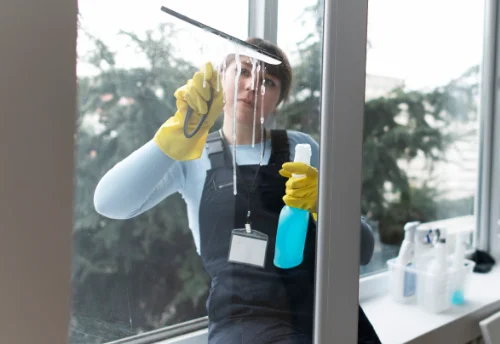 Nettoyage de vitres intérieures et extérieures à Chamoy